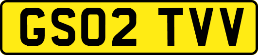 GS02TVV