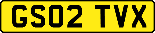 GS02TVX