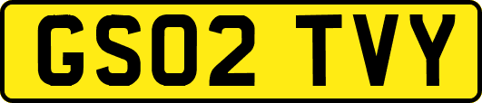 GS02TVY