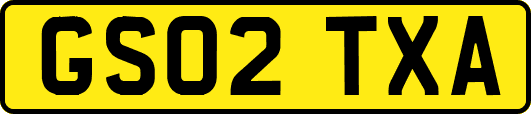 GS02TXA