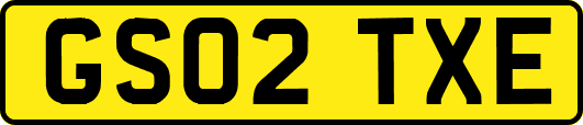 GS02TXE
