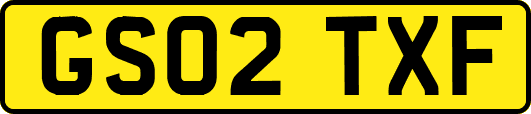 GS02TXF