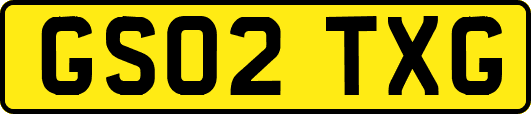 GS02TXG