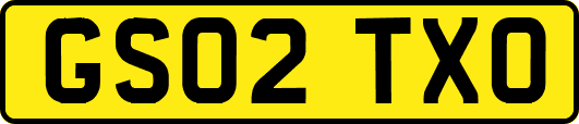GS02TXO