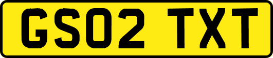 GS02TXT