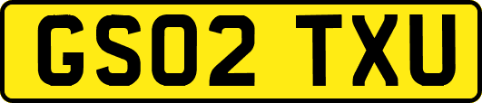 GS02TXU