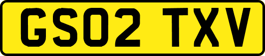 GS02TXV
