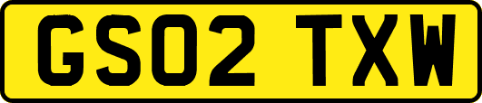 GS02TXW