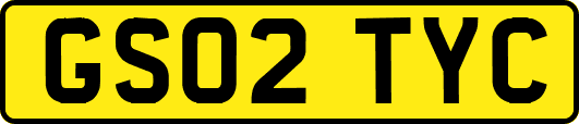 GS02TYC