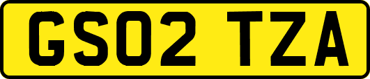 GS02TZA