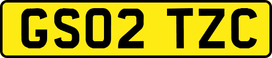 GS02TZC