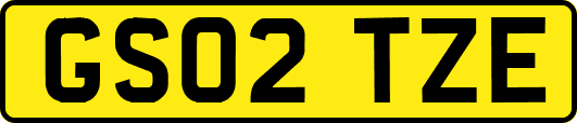 GS02TZE