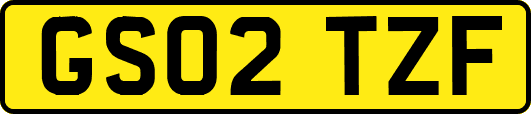 GS02TZF