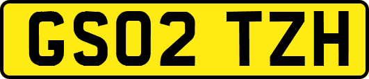 GS02TZH