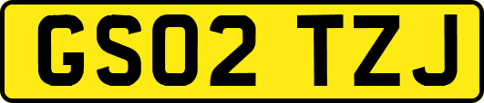 GS02TZJ