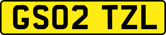 GS02TZL