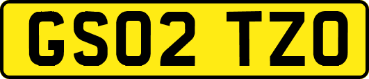 GS02TZO