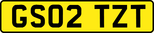 GS02TZT