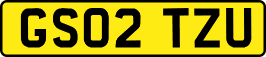 GS02TZU
