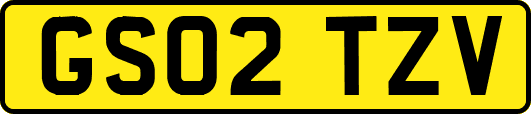 GS02TZV