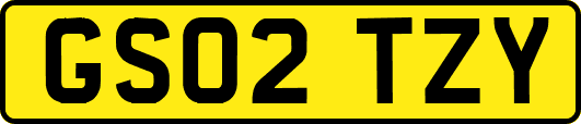 GS02TZY