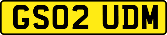 GS02UDM