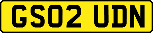 GS02UDN