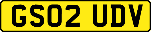 GS02UDV