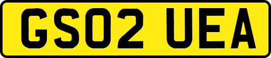 GS02UEA