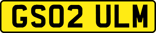 GS02ULM