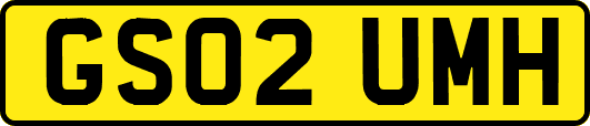 GS02UMH