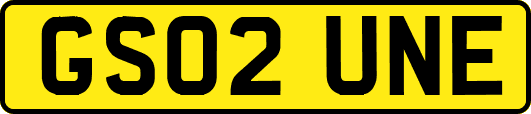 GS02UNE
