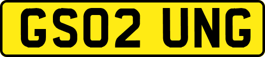 GS02UNG