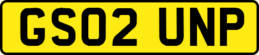 GS02UNP