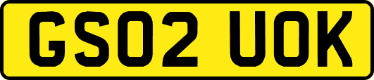 GS02UOK