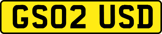 GS02USD