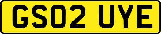 GS02UYE