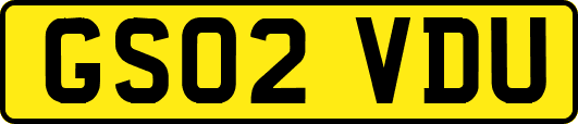 GS02VDU