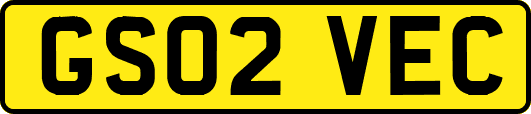 GS02VEC