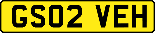 GS02VEH
