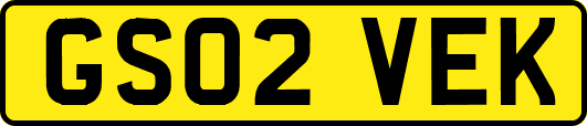 GS02VEK