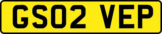 GS02VEP