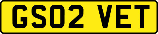 GS02VET