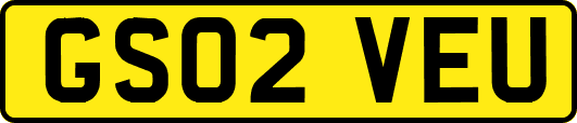 GS02VEU