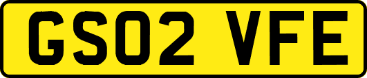 GS02VFE