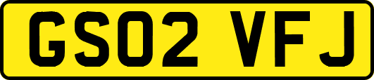 GS02VFJ