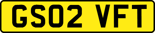 GS02VFT
