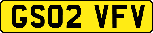 GS02VFV