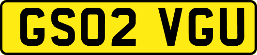 GS02VGU