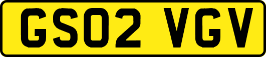 GS02VGV